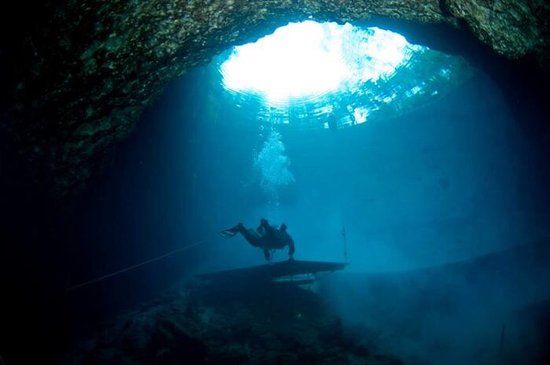 Scuba Dalış Eğitimleri başlıyor. ‘‘Eğlenerek spor yapma" kültürünü Türk aile hayatında yaygın hale getirme gayretiyle hizmetlerine devam eden Polaris, ailelerimizin çocuklarıyla eş zamanlı kaliteli vakit gecirebilecekleri etkinlikler düzenliyor.